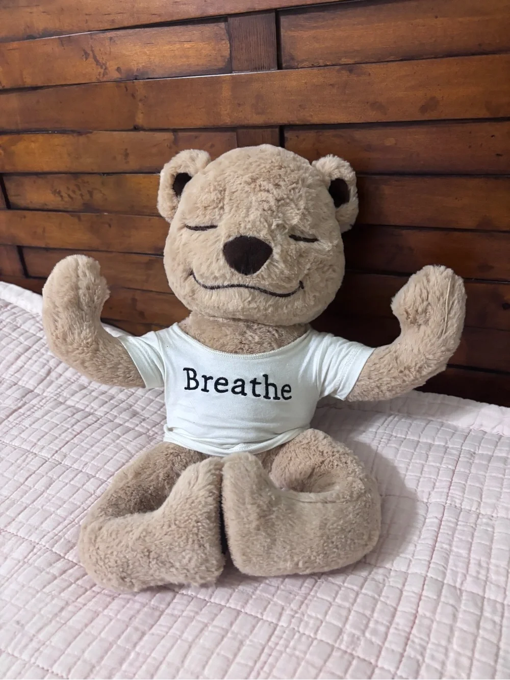 Meddy Teddy Plush Flexible Bendable Stuffed Bear